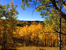 Canada-Alberta-Indian Summer Ride